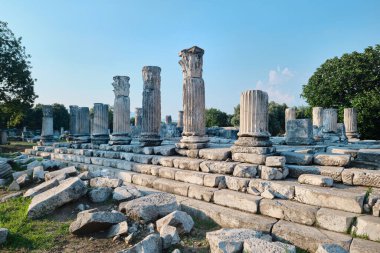 Mugla, Turkey - July 16, 2023: Ruins of the Temple of Goddess Hecate in Lagina Ancient City
