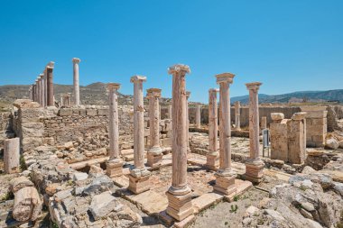 Denizli, Türkiye - 15 Temmuz 2023: Tripolis antik kentinde tuvalet sütunları