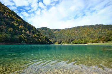 Bolu, Türkiye - 15 Ekim 2023: Sonbahar ormanı manzaralı Suluklu Gölü Doğal Parkı