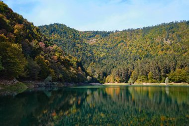 Bolu, Türkiye - 15 Ekim 2023: Sonbahar ormanı manzaralı Suluklu Gölü Doğal Parkı
