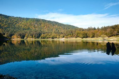 Bolu, Türkiye - 15 Ekim 2023: Sonbahar ormanı manzaralı Suluklu Gölü Doğal Parkı