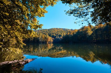 Bolu, Türkiye - 16 Ekim 2023: Yedigoller Milli Parkı 'ndaki sonbahar orman manzarası yansıması