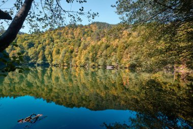 Bolu, Türkiye - 16 Ekim 2023: Yedigoller Milli Parkı 'ndaki sonbahar orman manzarası yansıması