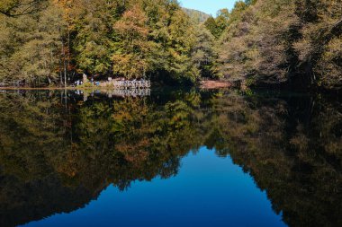 Bolu, Türkiye - 16 Ekim 2023: Yedigoller Milli Parkı 'ndaki sonbahar orman manzarası yansıması