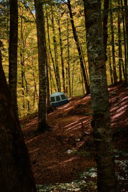 Bolu, Türkiye - 16 Ekim 2023: Yedigoller Milli Parkı 'nda yedi göl anlamına gelen sonbahar orman manzarası çadırı