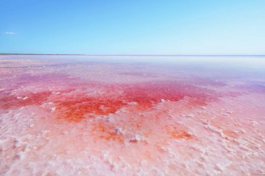 Ankara, Türkiye - 16 Haziran 2023: Mavi gökyüzü ile kırmızı tuz gölünün güzel manzarası
