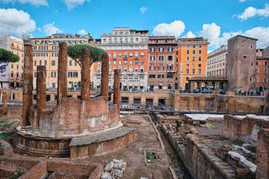 Roma, İtalya - 29 Ekim 2023: Largo di Torre Arjantin dört Roma Cumhuriyetçi tapınağı ve Pompey Tiyatrosu 'nun kalıntıları olan bir meydan.