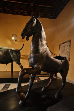 Roma, İtalya - 29 Ekim 2023: Bronz At heykeli MÖ 4. yüzyıldan kalma Capitolini Müzesi 'ndeki bir Yunandan esinlenilmiştir. 