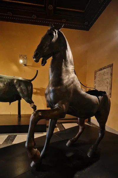 Roma, İtalya - 29 Ekim 2023: Bronz At heykeli MÖ 4. yüzyıldan kalma Capitolini Müzesi 'ndeki bir Yunandan esinlenilmiştir. 