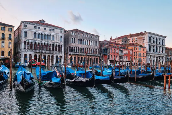 Venise Italie Novembre 2023 Gondoles Bleues Stationnées Dans Grand Canal Image En Vente