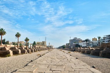 Luxor, Mısır - 26 Aralık 2023: Nil Nehri 'nin doğu kıyısında yer alan büyük bir Antik Mısır tapınağı kompleksi olan Luxor Tapınağı girişinde Sfenks yolu 