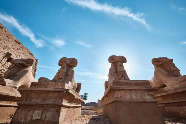 ルクソール エジプト 12月26 2023 カルナック神殿のスフィンクス路地 寺院の遺跡 — ストック写真