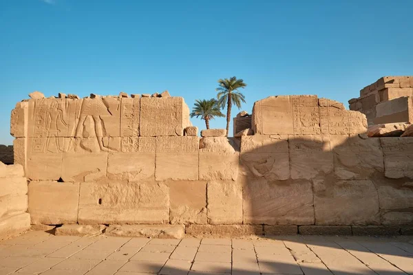 エジプトのルクソール 2023年12月26日 カルナック神殿の遺跡 彫刻された図面 ヒエログリフ 明確な青空のヤシの木が付いている石の壁 — ストック写真