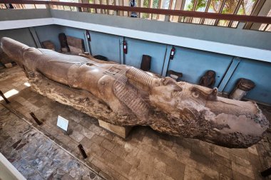 Memphis, Mısır - 2 Ocak 2024: Ramses II 'nin kireçtaşından oyulmuş ve yaklaşık 10 metre uzunluğunda heykeli