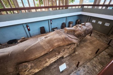 Memphis, Mısır - 2 Ocak 2024: Ramses II 'nin kireçtaşından oyulmuş ve yaklaşık 10 metre uzunluğunda heykeli