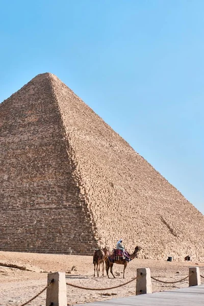 エジプト 12月24 2023 グレートピラミッドクフ チョップのピラミッド ギザの3つのピラミッドとラクダの中で最も古く 最大です — ストック写真