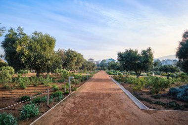 Atina, Yunanistan - 03 Mart 2024: Stavros Niarchos Vakfı Kültür Merkezi 