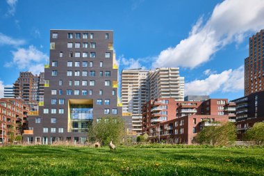 Hollanda, Amsterdam - 07 Nisan 2024: Yazlık Konut Apartmanı ve Zuidas iş bölgesi silueti