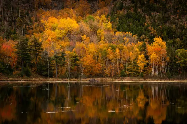 Γραφική Θέα Μιας Λίμνης Δέντρα Αντανακλούν Στο Νερό Στο Εθνικό Royalty Free Εικόνες Αρχείου