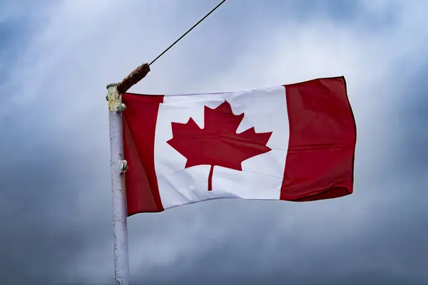 Καναδική Σημαία Που Κυματίζει Στον Άνεμο Και Πάλι Ένας Δραματικός Φωτογραφία Αρχείου