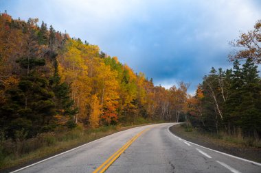 Kanada 'nın Nova Scotia şehrinde, otoban yeşilliği olan ağaçlarla kaplı Cape Breton Highlands Ulusal Parkı' nda bir yol manzarası; Kanada 'da seyahat kavramı