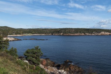 Cape Breton Adası 'ndaki bir körfezin manzarası Cabot Patikası boyunca, Nova Scotia, Kanada.