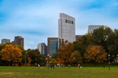 Boston, Massachusetts, ABD - 29 Ekim 2023: Boston, Massachusetts 'teki Boston Common' da sonbahar boyunca köpeklerle oynayan insanlar.