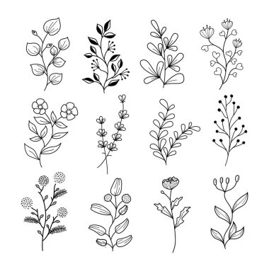 Set of Hand drawn Botanical and Wildflowers. Vector illustration in doodle line art style on white background.