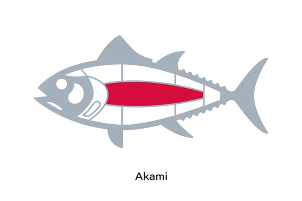Akami Diagram Odřezků Tuňáka Japonský Styl — Stockový vektor