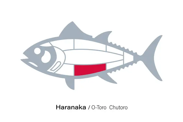 Haranaka Toro Chutoro Diagram Odřezků Tuňáka Japonský Styl — Stockový vektor