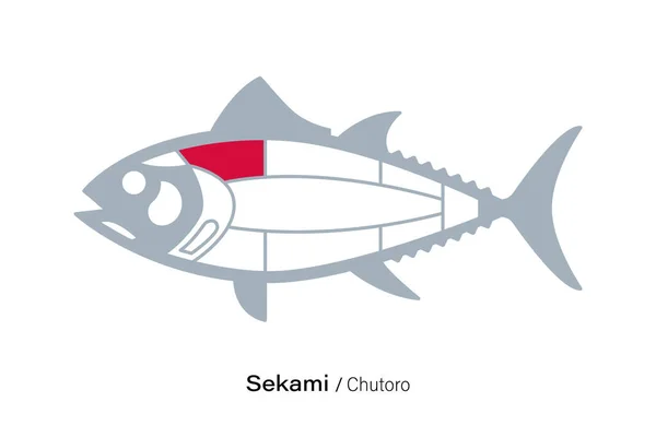 Sekami Chutoro Diagram Odřezků Tuňáka Japonský Styl — Stockový vektor