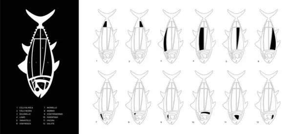Schwarz Weiße Horizontale Thunfischschnitte Ronqueo Teile Des Thunfisches Auf Spanisch — Stockvektor
