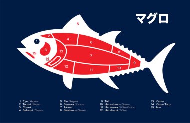 Japon tuna balığı mavi arka planda diyagramı keser.