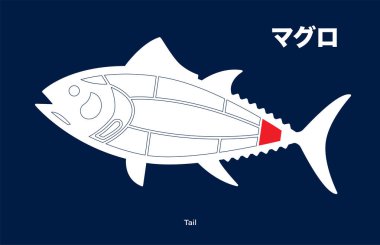 Kuyruk, Japon Ton Balığı Mavi arka planda diyagram.