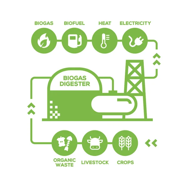 Simple Biogas Plant Diagram Biogas Production Stages Renewable Energy Green — Stock Vector