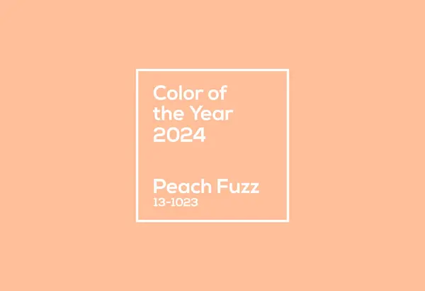 Color Del Año 2024 Melocotón Pelusa Tendencias Moda Diseño Ilustración de stock