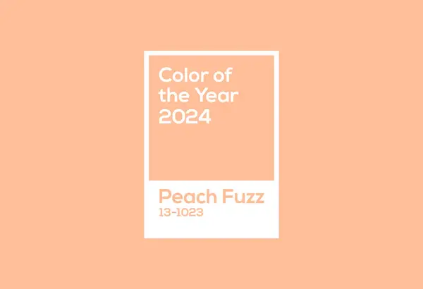 Color Del Año 2024 Melocotón Pelusa Tendencias Moda Diseño Gráficos vectoriales