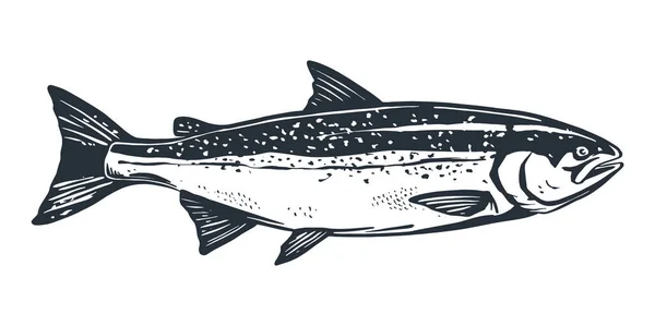 Salmon Fish Retro Line Ink Sketch Black White Hand Drawn — Stock Vector