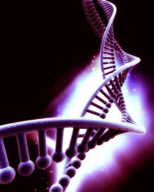 Bir insan DNA yapısının 3 boyutlu çizimi