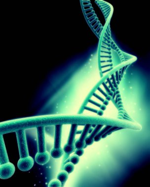 Bir DNA yapısının 3d gösterimi 