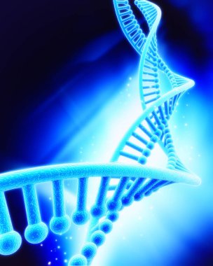 Bir DNA yapısının 3d gösterimi 