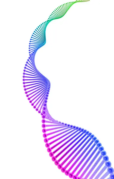 İnsan DNA 'sının 3 boyutlu çizimi