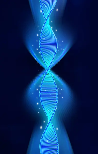 İnsan DNA 'sının 3 boyutlu çizimi