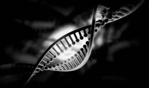 Bir DNA yapısının 3d gösterimi 