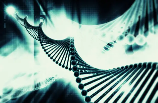 Bir DNA yapısının 3d gösterimi 