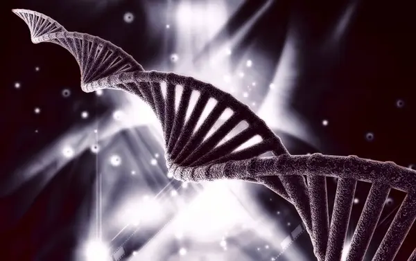 Bir DNA yapısının 3d gösterimi 