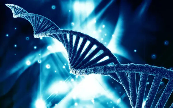 Bir DNA yapısının 3d gösterimi 