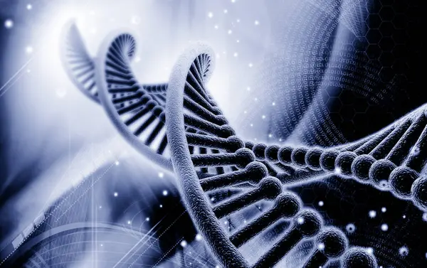 Bir DNA yapısının 3d gösterimi 