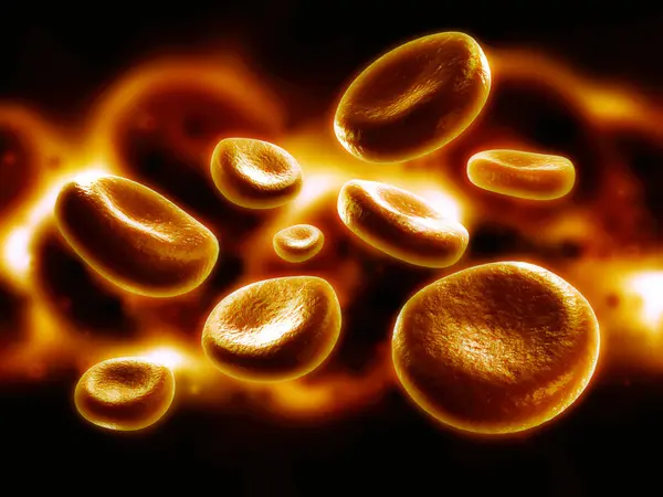 Bir Kırmızı Kan Hücrelerinin 3D çizimi