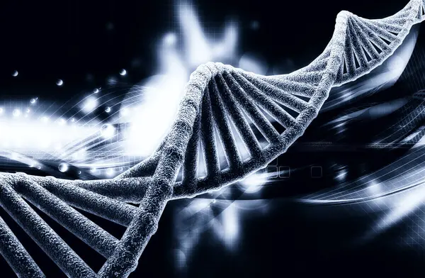 Bir DNA yapısının 3d gösterimi 